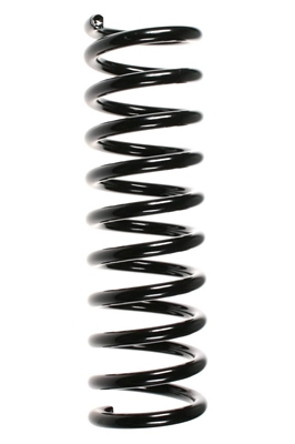 49558