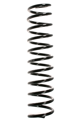 55808