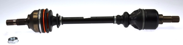 21966