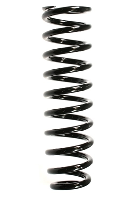 55384