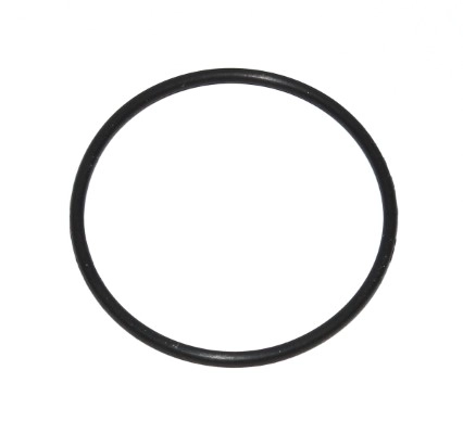 11657577018
