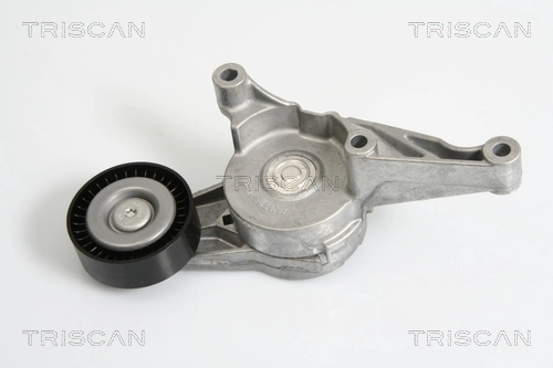 Натяжная планка, поликлиновой ремень (70X24) *TRISCAN* SEAT,VW |--->8641 293016 / RUVILLE->55790