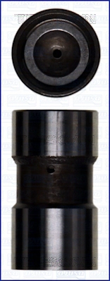 80-29009