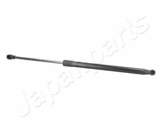 ZS01059
