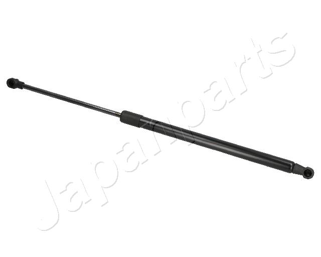 ZS09007