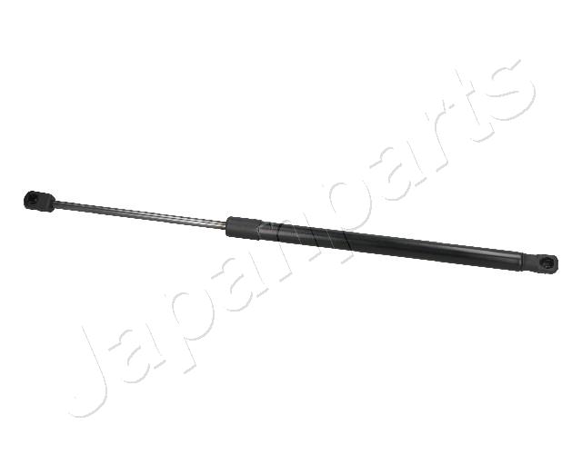 ZS09059