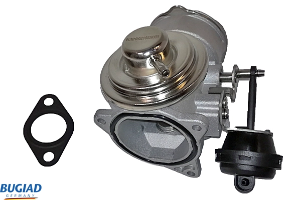 BSP24685