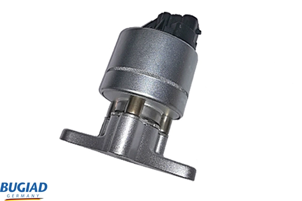BGR13027