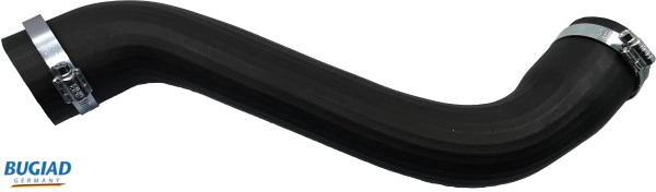 82062