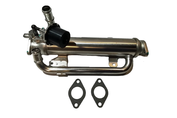 BSP25206