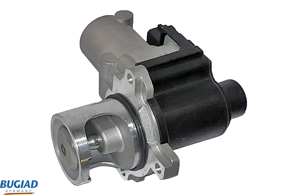 BGR13025