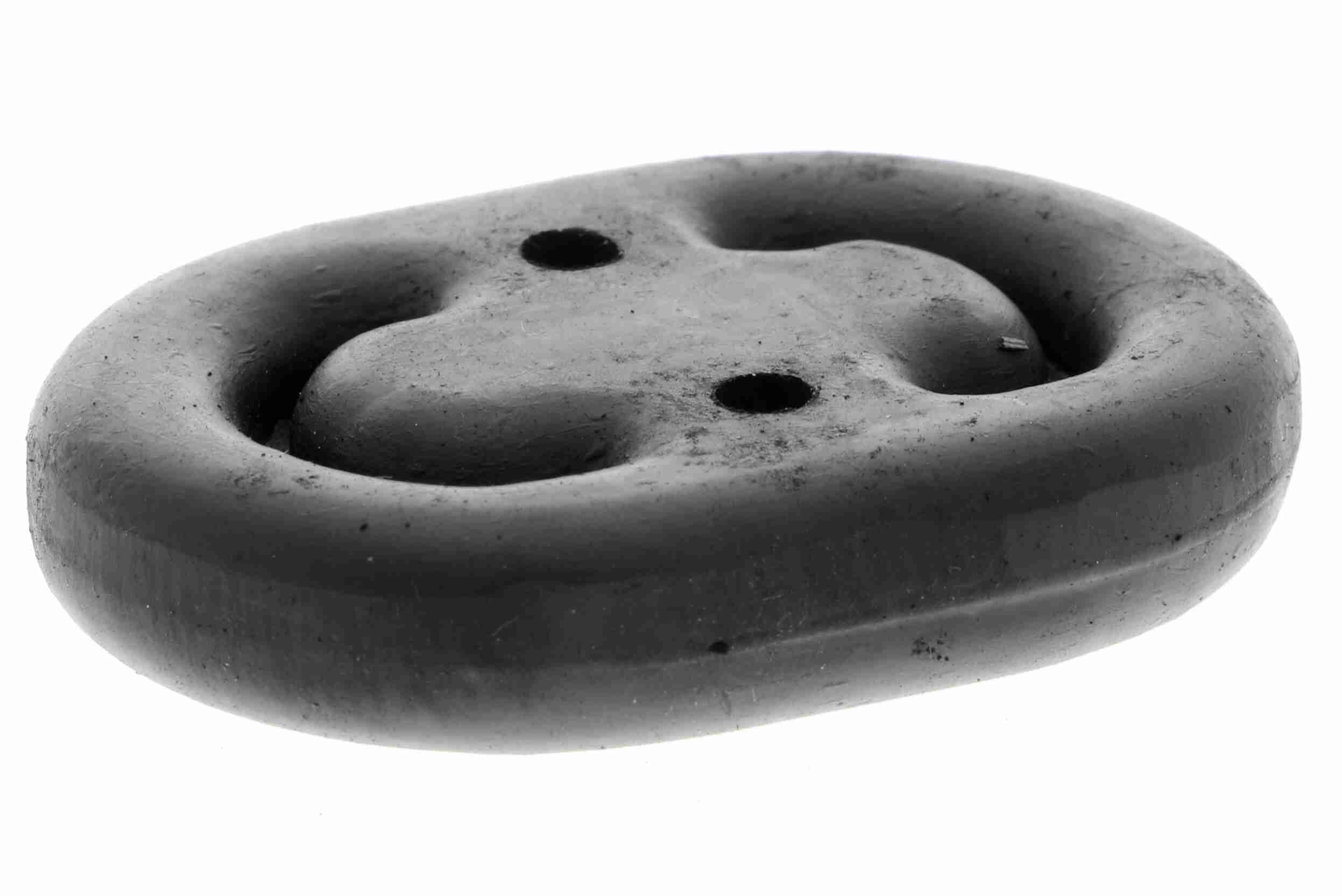 V10-0081