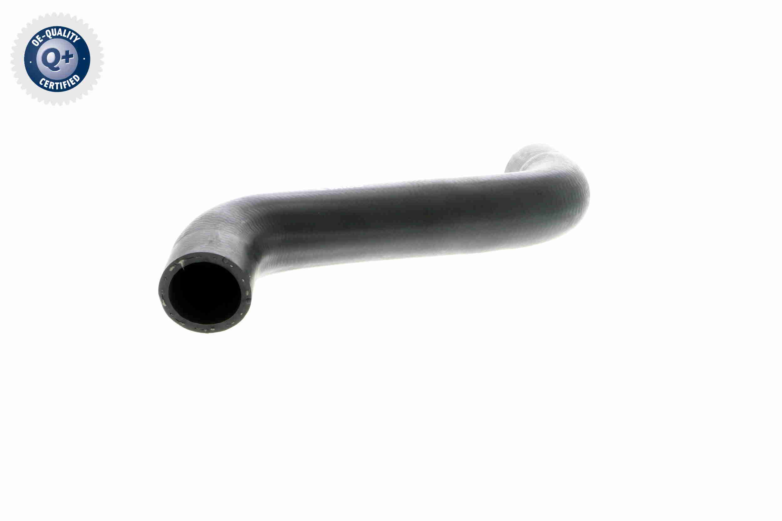 V10-2886