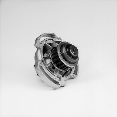P521