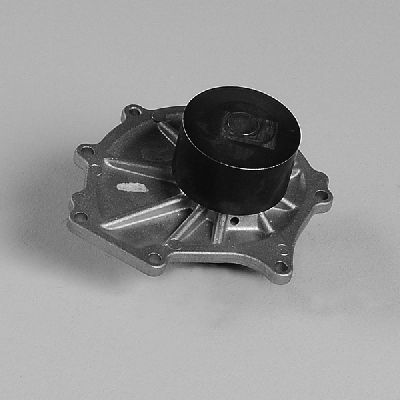 P7981