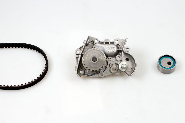 PK09300