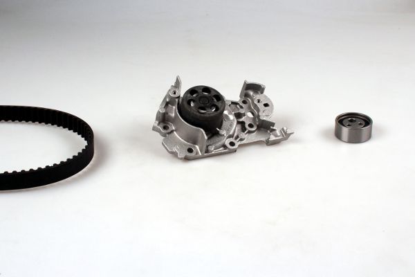 PK09541S