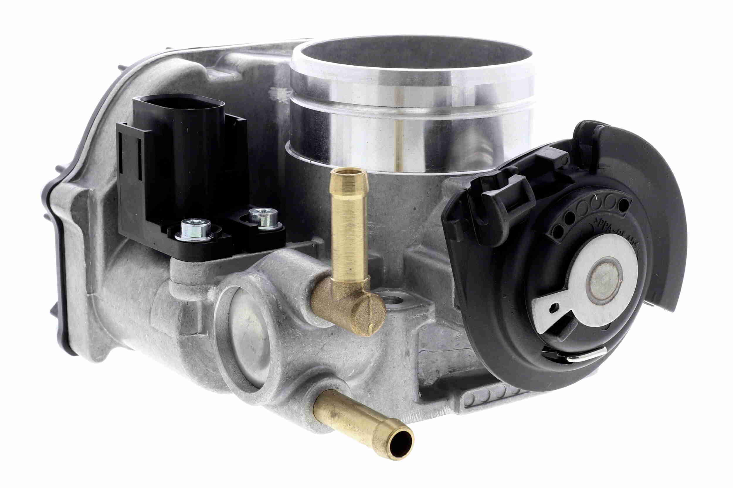 V10-81-0005