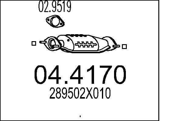 289502X010