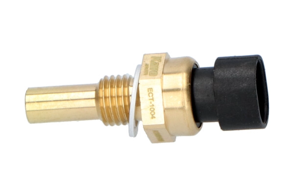 ECT-1004
