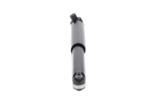 SSA-10135