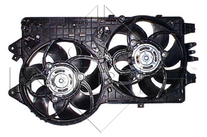47253