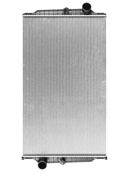 50262