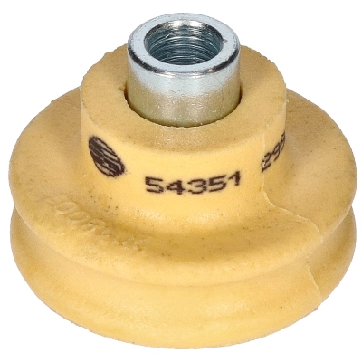 54351