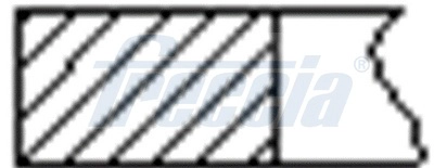 FR10-206100