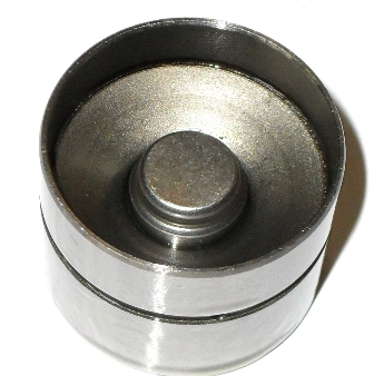 PI 06-0029