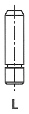 G11304