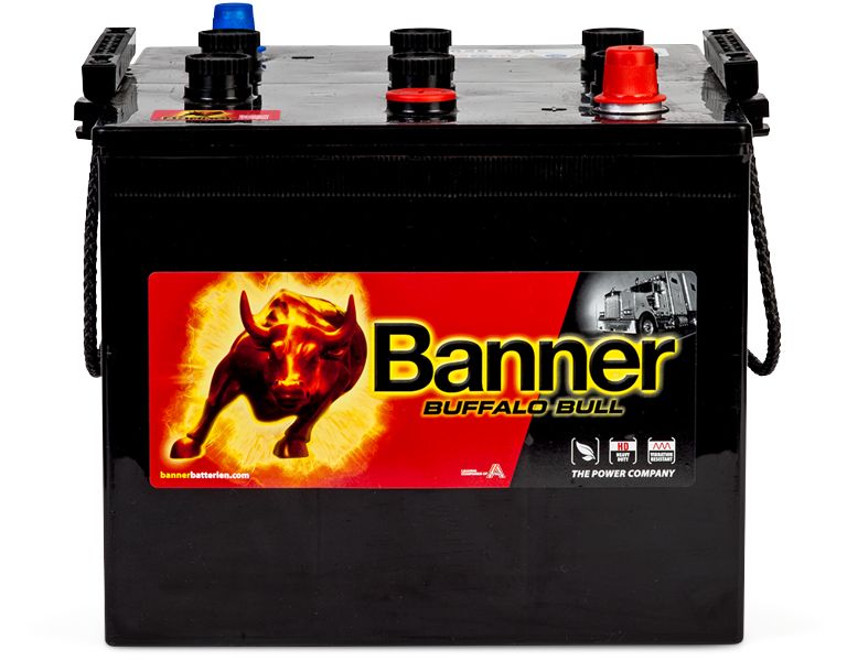 Banner 010625230100