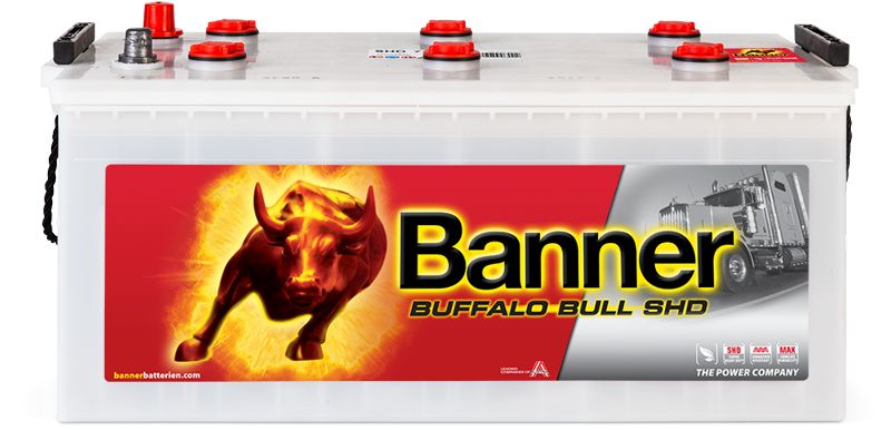 Banner 018725110101