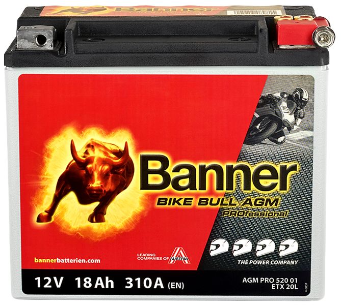 Banner 024520010101