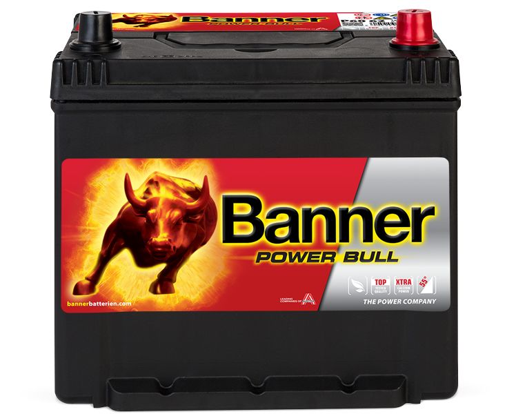 Banner 013560620101