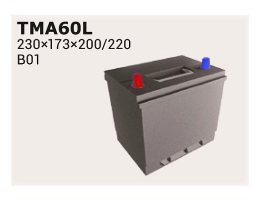 TMA60L