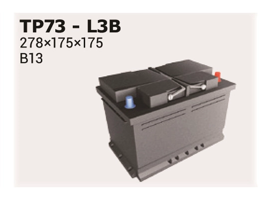 TP73