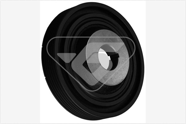 DP061