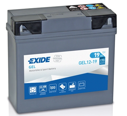 GEL12-19