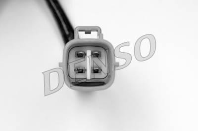 DLS-161