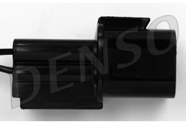 DLS-486