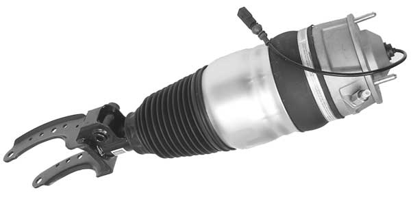 AMP3018