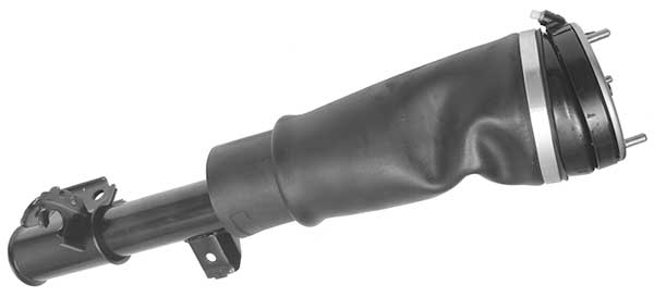 AMP3021