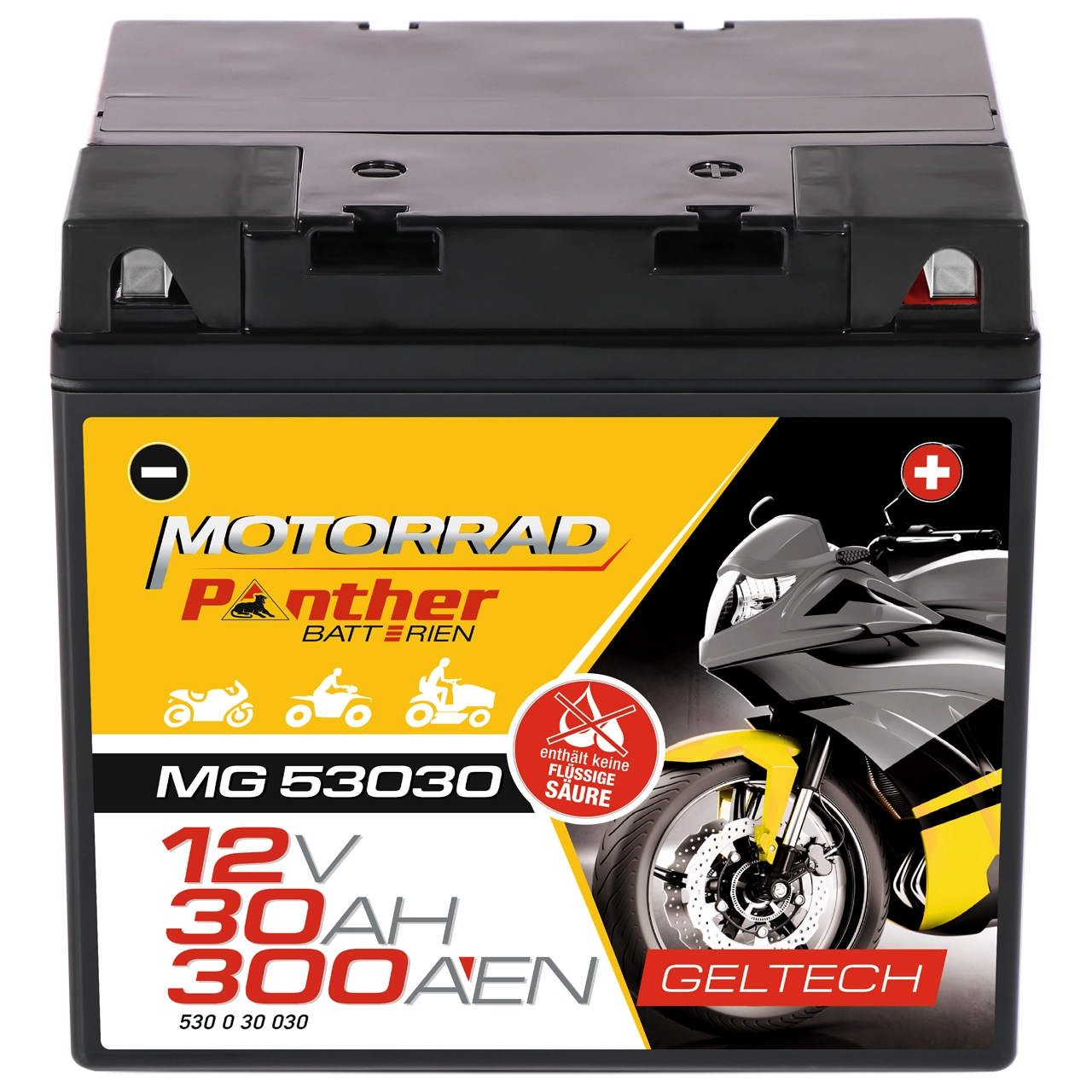 PANTHER-BATTERIEN GB.5303077