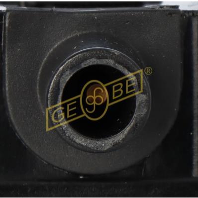 EGT981371
