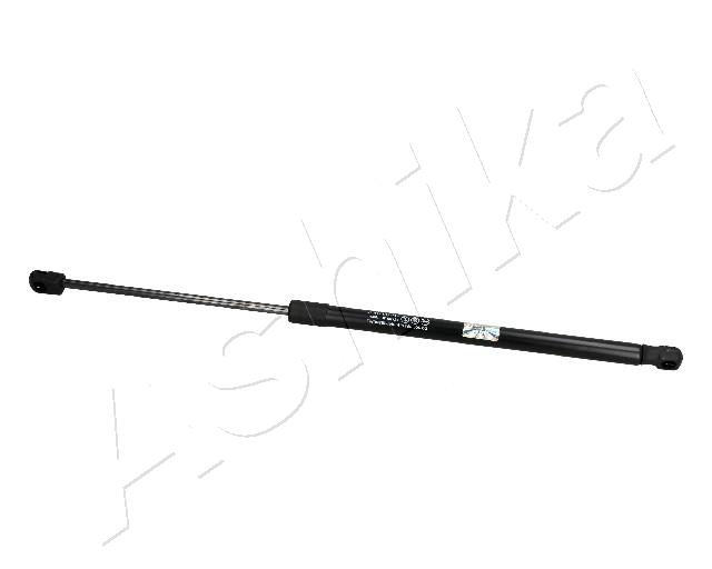 ZSA10034