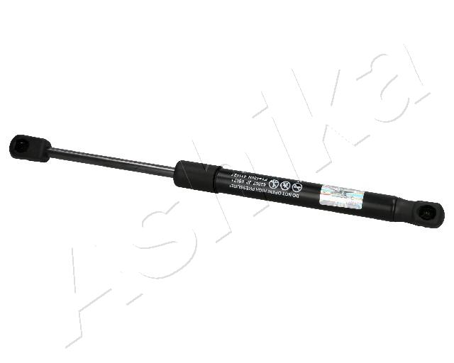ZSA06071
