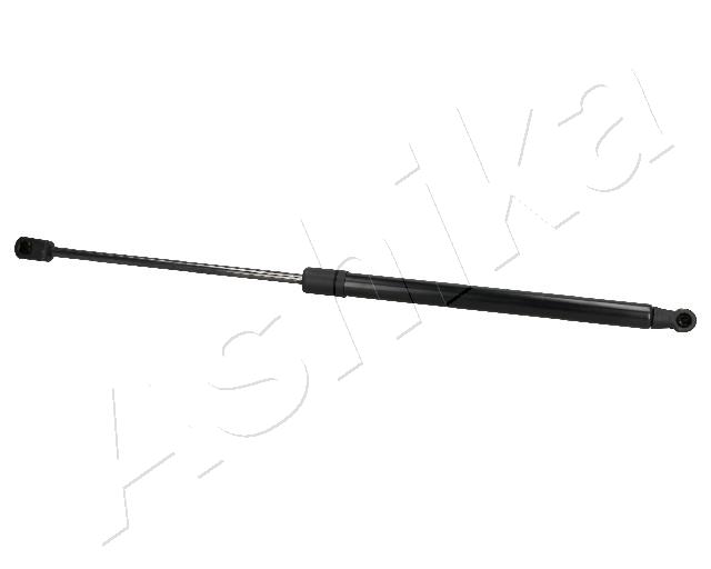ZSA02060
