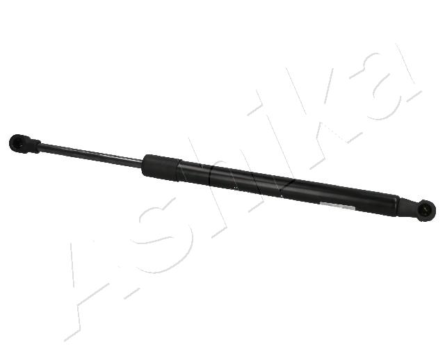 ZSA01038