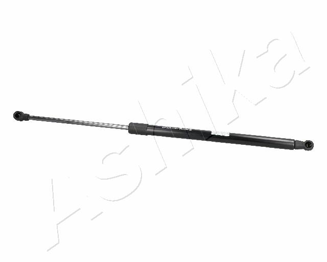 ZSA06089